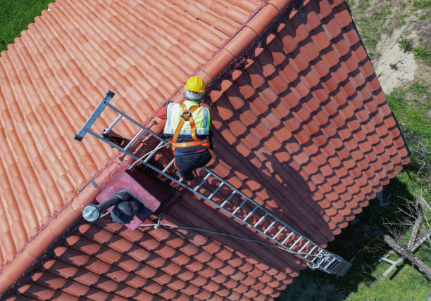 Best Roof Moss and Algae Removal  in Tenino, WA